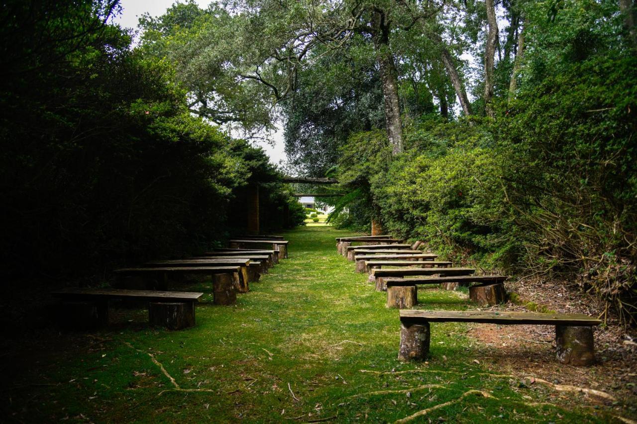 ヒルトン The Knoll Historic Guest Farmヴィラ エクステリア 写真