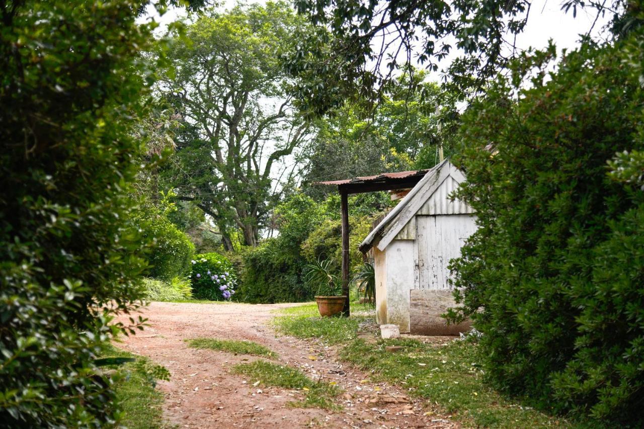 ヒルトン The Knoll Historic Guest Farmヴィラ エクステリア 写真
