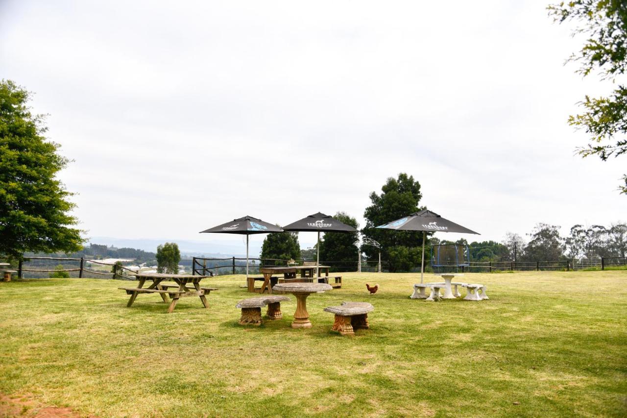 ヒルトン The Knoll Historic Guest Farmヴィラ エクステリア 写真